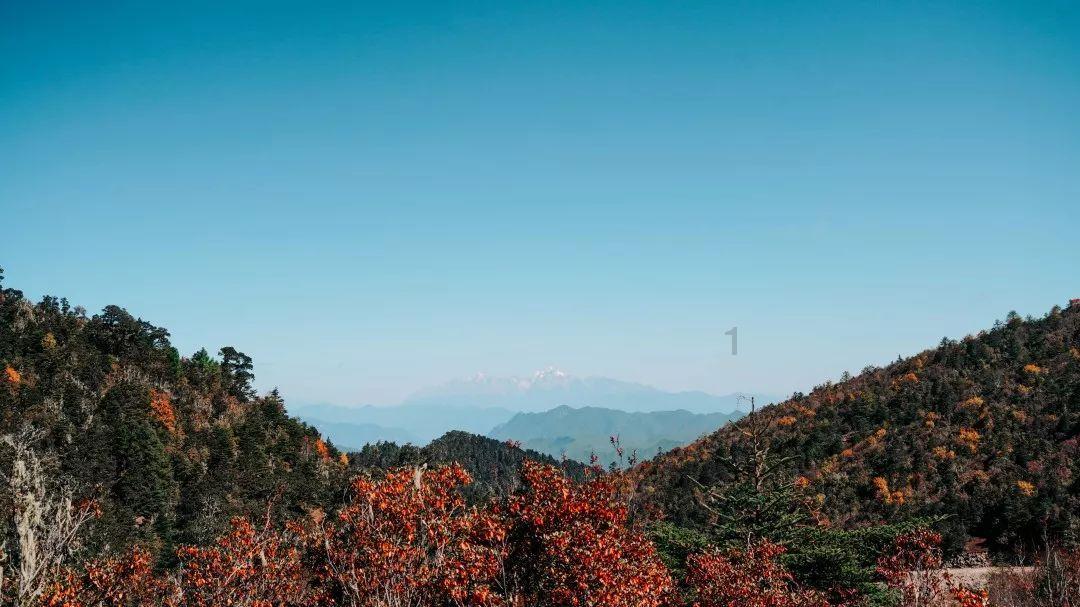 救援波塞冬