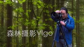 无休止的树