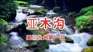 科纳特:要在最后四个月为克洛普付出全部,很高兴有宽萨在球队
