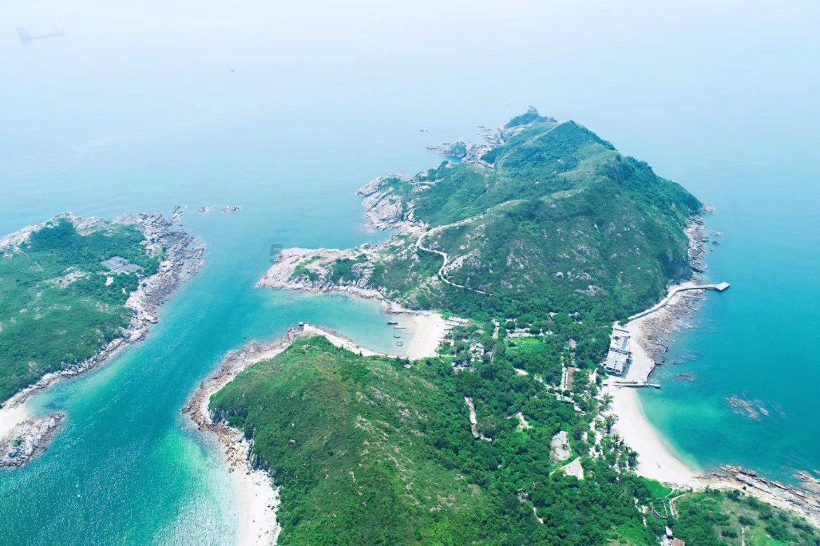什么是NSS?探寻知识的奇妙之旅