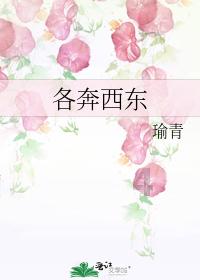 新奥特曼大决战