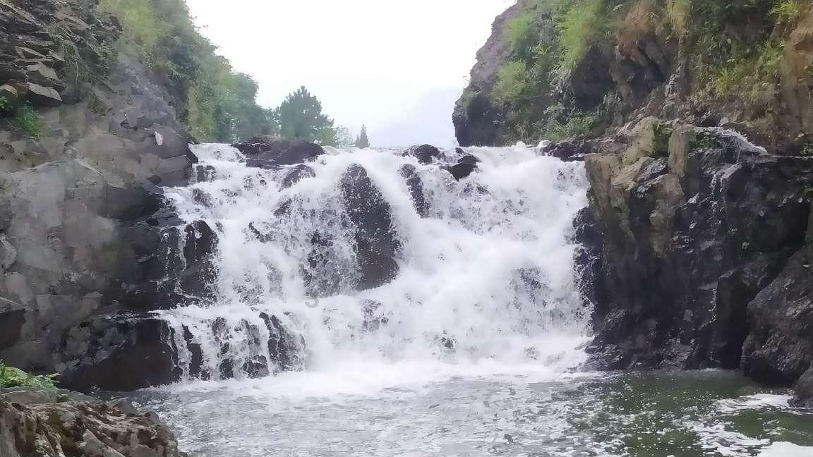 看门狗