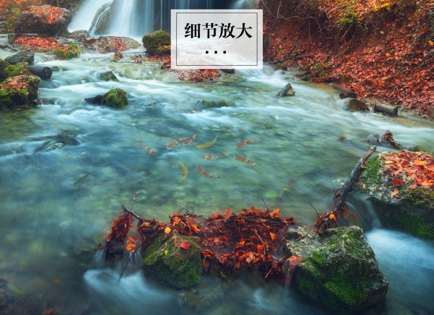 日式花园拼拼看