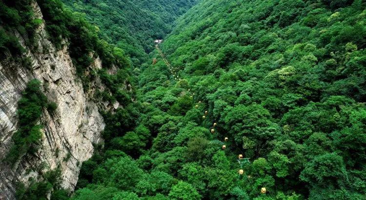 伍咏薇:亚洲小姐的璀璨之星,演艺圈的亮丽风景